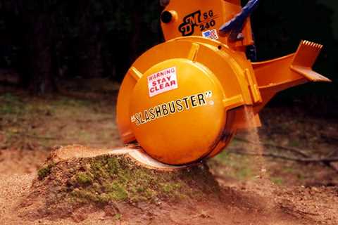 Home And Industrial Tree Stump Grinding Glasgow