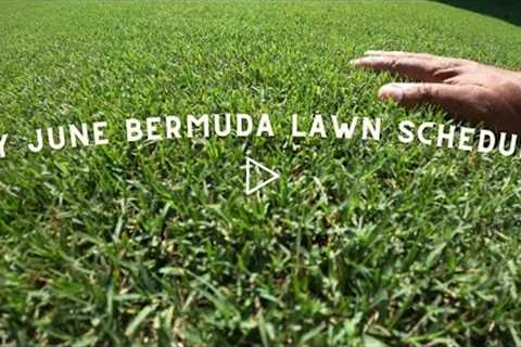 My bermuda lawn schedule for the month of June