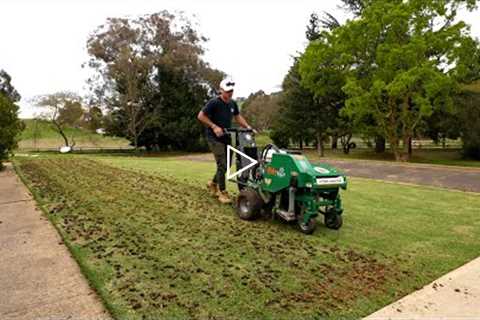 Core Aeration and Scalp on My Lawn (Lawn Renovation Series)