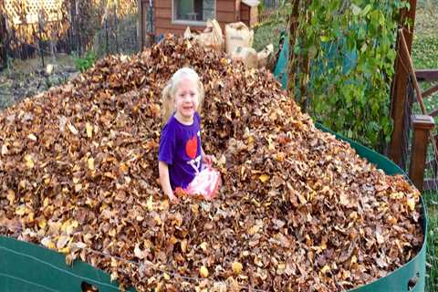 Is leaf mulch good for gardens?