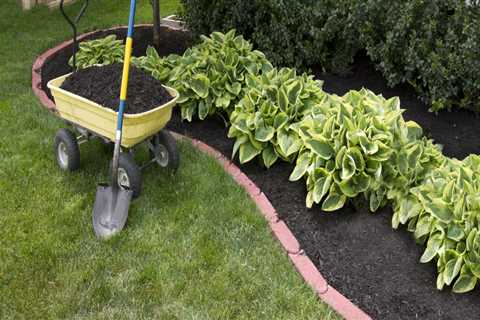 What kind of mulch is best for gardens?