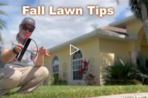 Fall Lawn Tips and This Important (Cheap) Tool