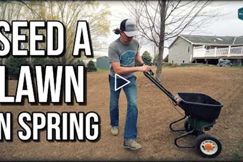 How To Seed A Lawn In Spring // Step by Step Complete Renovation Guide