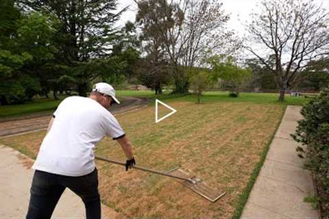 Topdressing and Levelling My Lawn With Sand (Lawn Renovation Series)