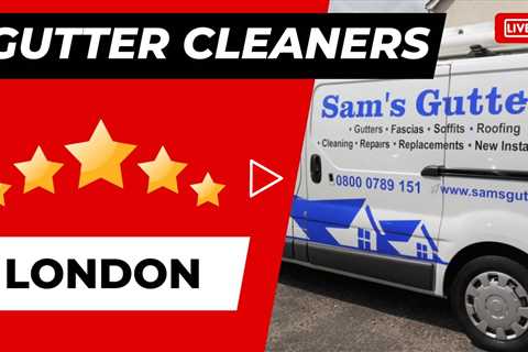 Gutter Cleaners London