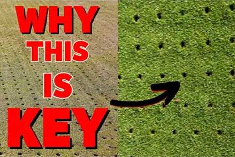 The KEY to PERFECT grass lies below  -  How the pro''s do it