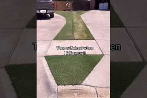 The Most Controversial Lawn on the Internet