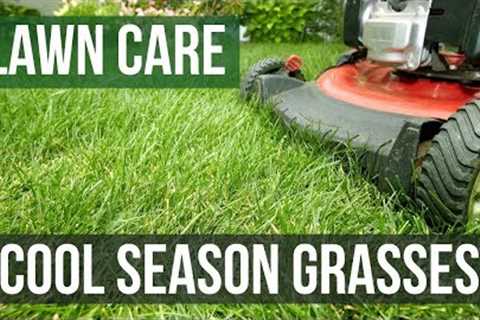 Cool Season Grasses: A Lawn Care Guide