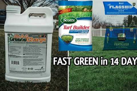 The BEST SPRING Lawn FERTILIZERs for Cool-Season Grass // GREEN-UP in 14 DAYS // Spring LawnTips