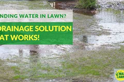 Standing Water in your Lawn? 1 Drainage Solution that Works!