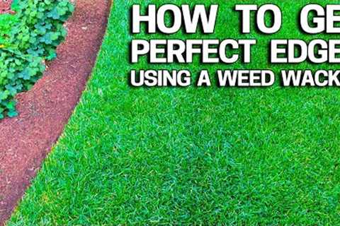 How to Get Perfect Lawn Edges with a Weed Wacker