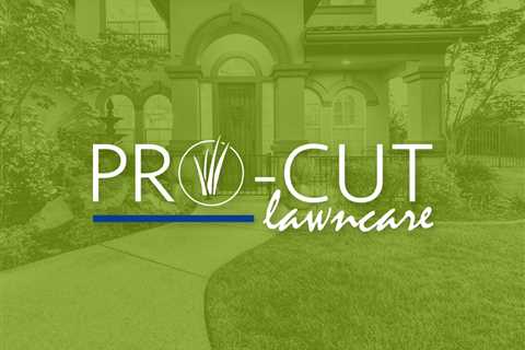 Pro-Cut | Lawncare Service in Locust Grove, Georgia