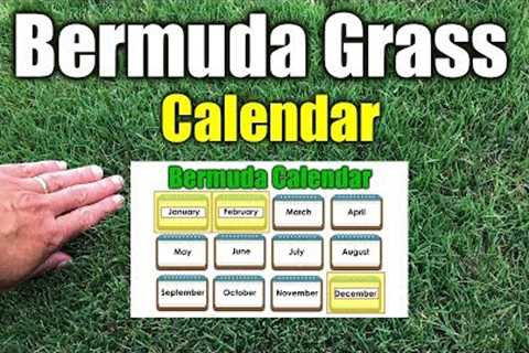 Bermuda Grass Calendar Please See New Calendar in Description