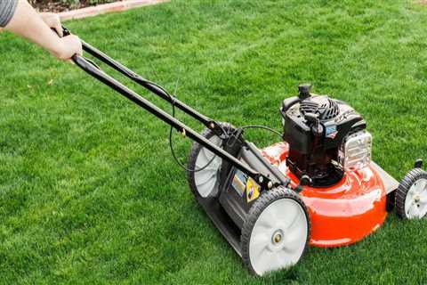 Is cutting grass more often better?