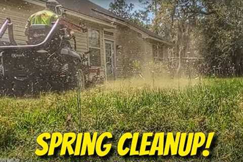 First spring cleanup | Spring lawn care | Spring Lawn Mowing