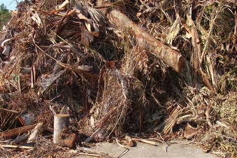 Where can i dispose of yard debris near me?