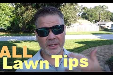 Fall Lawn Tips - Cool Season Grasses