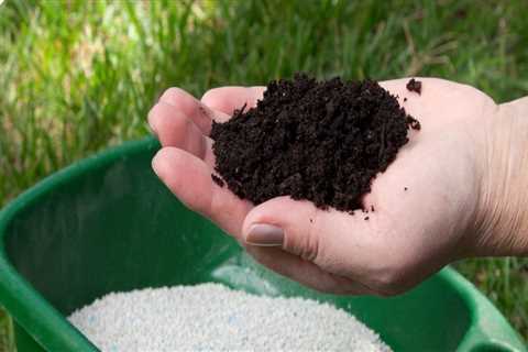 What month should i fertilize lawn?