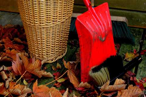 When should you do fall cleaning?