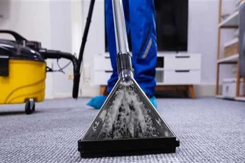 What do professionals use to clean carpets?