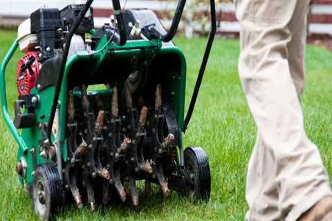 Does aerating your lawn do anything?