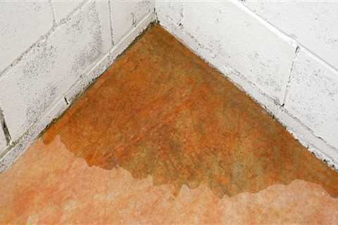 How much value does waterproofing a basement add?