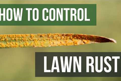 How to Control Lawn Rust (4 Easy Steps)