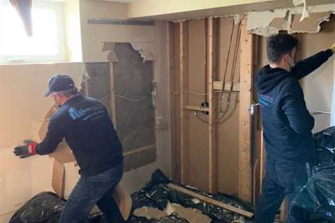 Professional Basement Mold Removal Services in Toronto