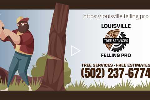 Tree Service Louisville Kentucky - Louisville Felling Pro