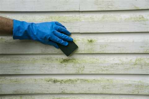 How To Remove Mildew From Wood Siding