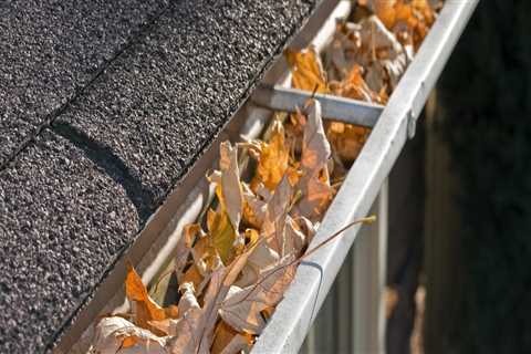 Where Does Gutter Debris Come From?