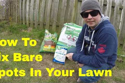 How To SEED BARE SPOTS In Your Lawn // Spring Lawn Overseeding // Spring Lawn Care Canada