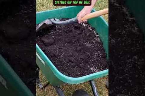 Spread Grass Seed & Soil Fast | #shorts #soil #maintenance #lawn #tips