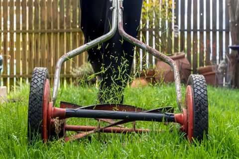 How do you take care of your lawn by yourself?