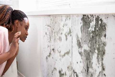 What kills mold permanently?