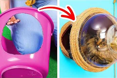 CUTE DIY CAT HOUSE || Heart-Warming Pet Crafts, Gadgets And Hacks For Loved Ones