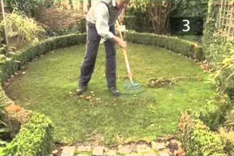 Autumn Lawn Care Tips and Maintenance Advice