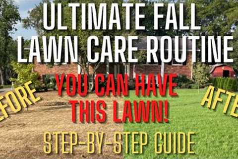 FIX YOUR LAWN FAST!! Cool Season Fall Lawn Care Schedule