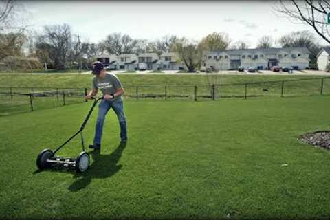 I Bought ANOTHER Reel Mower and Here's WHY...