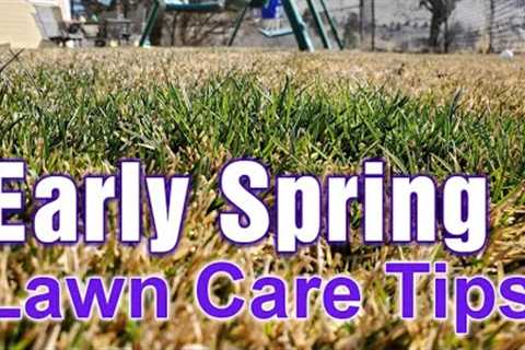 Early Spring Lawn Care Tips: What To Do First, Second, & Third