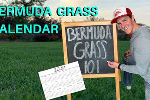 Bermudagrass Calendar - Bermuda Lawn Maintenance for Beginners