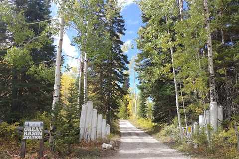 Tree Removal Ephraim Utah