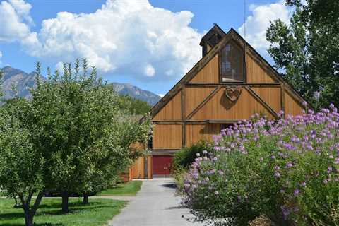 Tree Removal Holladay Utah