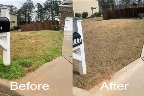 There are many different lawn treatment suppliers available that can take care... — The..