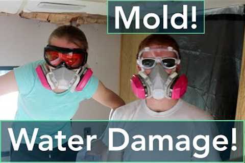 RV Water Damage + Mold Removal