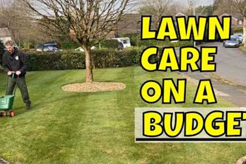 February Lawn Care Treatment Made Easier