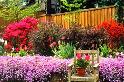 The Benefits of Home Yard Cleaning for Visual Appeal