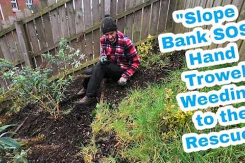 Weeding a Slope Bank: Tips and Tricks for Easy Garden Maintenance#lawn #earnmoney