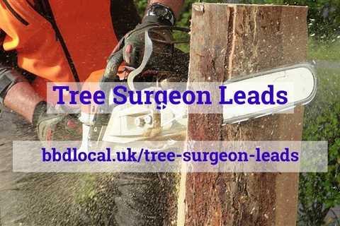 Free Tree Surgeon Leads Exclusive Tree Service Leads Calling You Direct 3 Free Tree Surgery Leads