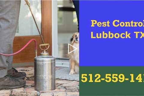 Exterminator In Lubbock TX - Residential Termite Control & Bed Bug Treatment 24 Hour Pest Control